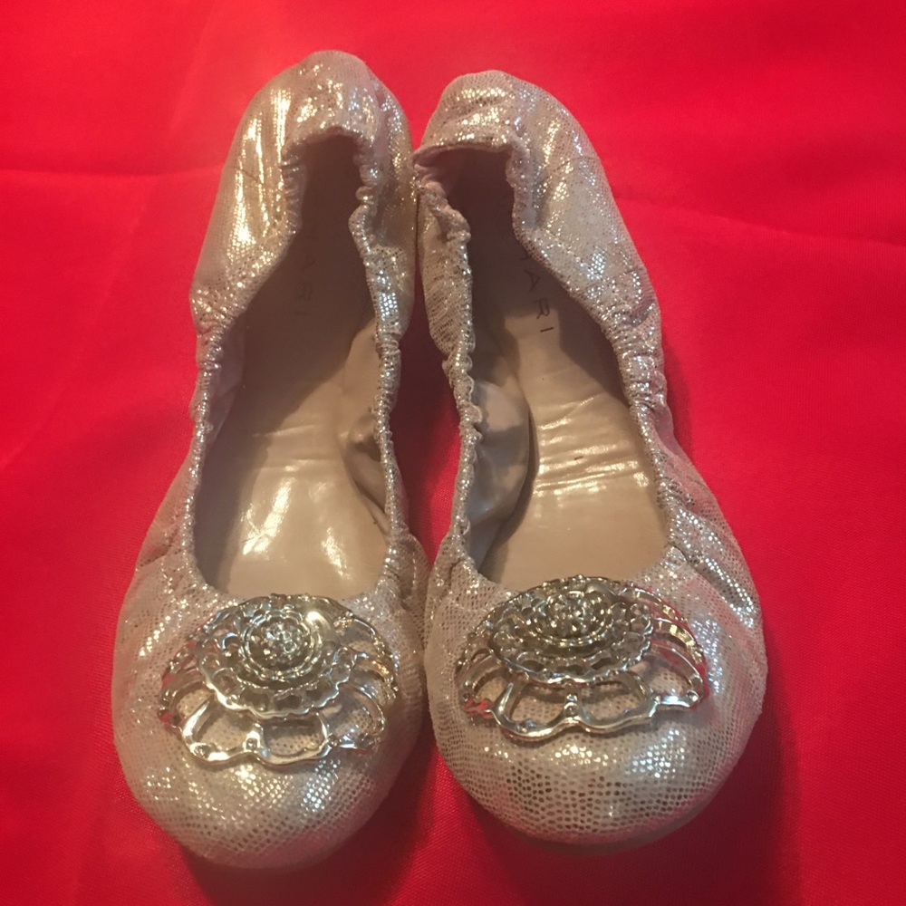 Beautiful Gold Ballerina Flats NWT